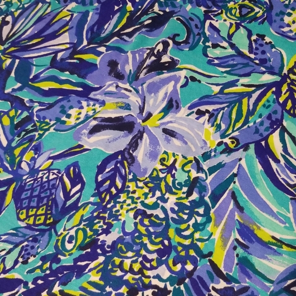 🌴 Lilly Pulitzer XS Hollee Dress in Sneak a Beak - Picture 5 of 6